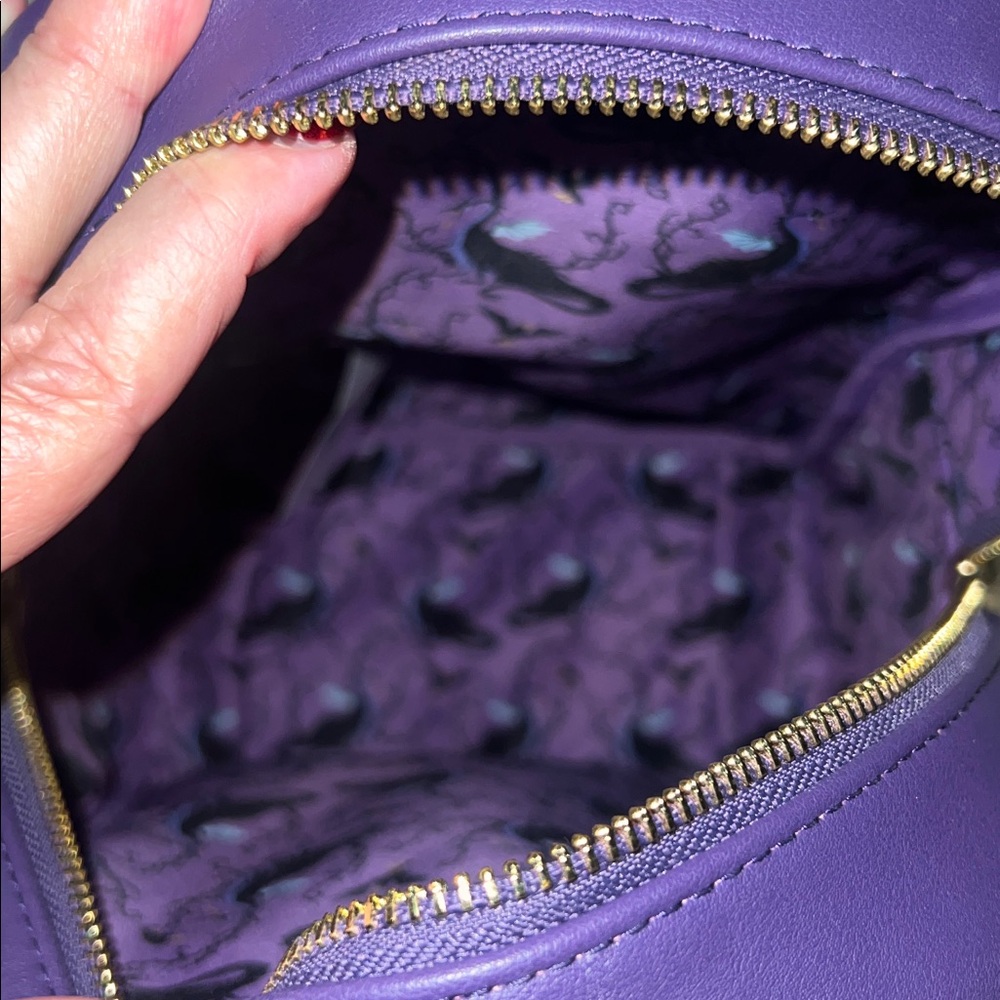 Like New Disney Loungefly Palm Sleeping Beauty Ba… - image 7